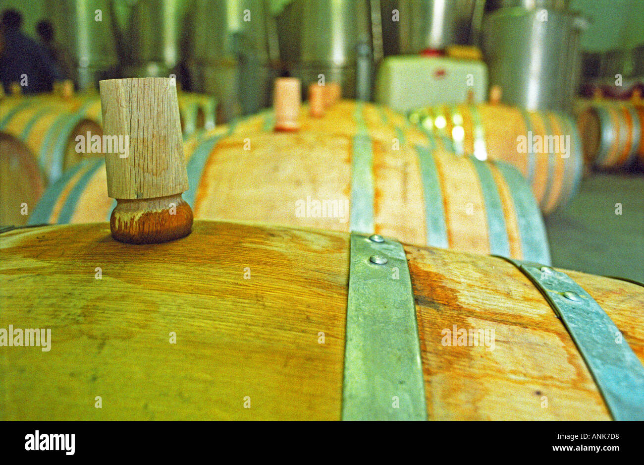 The Chateau Dereszla winery: the underground cellar. A tunnel with barrels  of Tokaji wine Stock Photo - Alamy