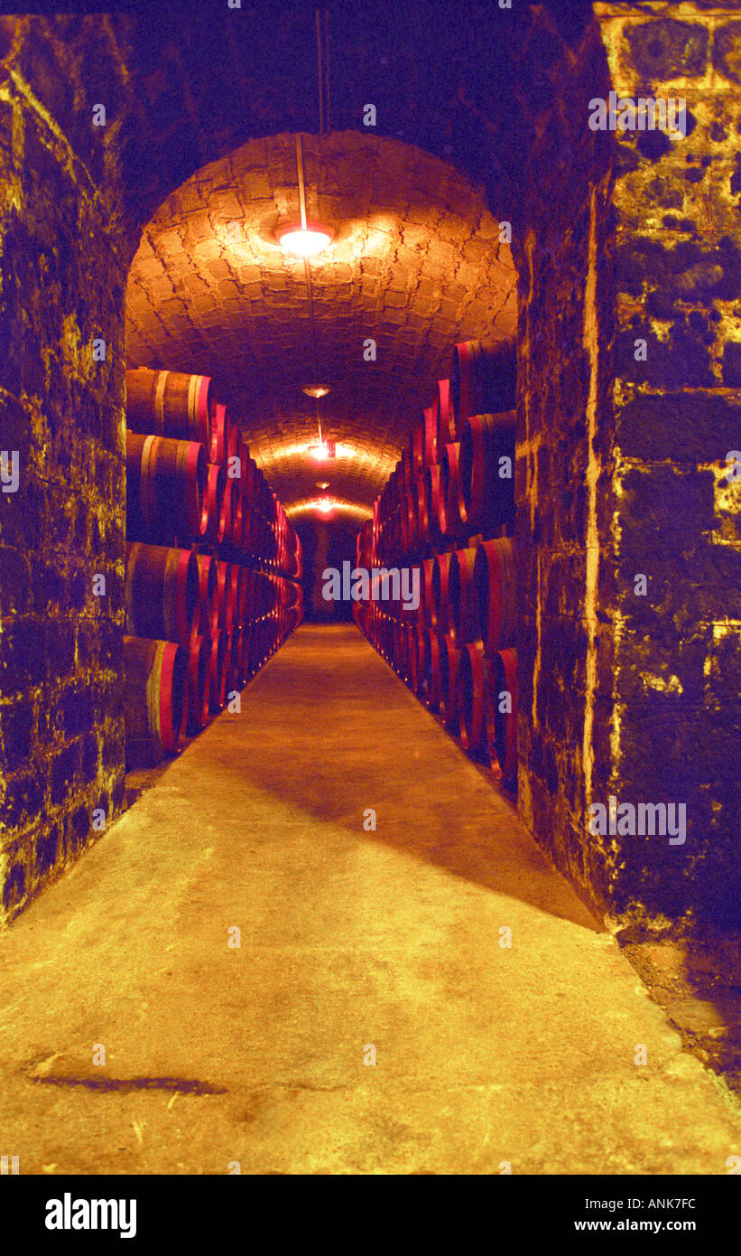The Chateau Dereszla winery: the underground cellar. An empty tunnel, newly  renovated soon to be filled with barrels of Tokaji wine Stock Photo - Alamy