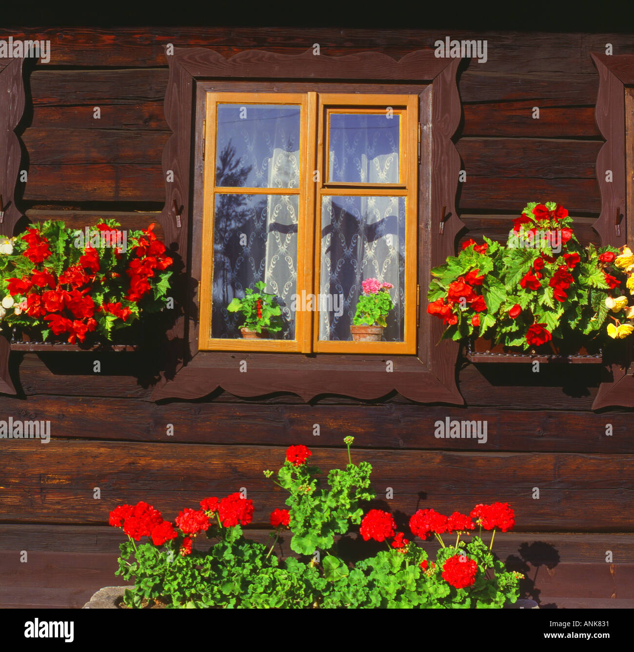 window in an old farm house with flowers geranium in Bavaria Germany ...