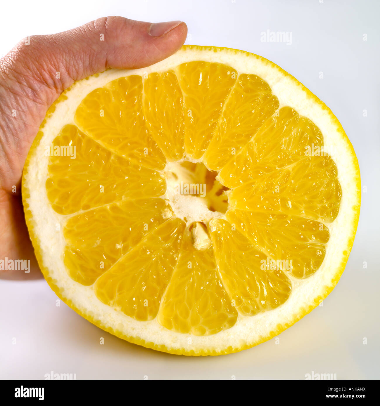 Grapefruit cut in a half in hand Stock Photo Alamy