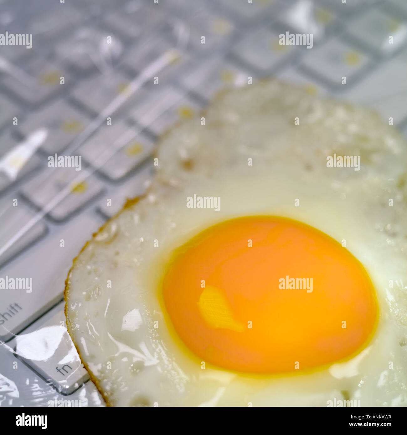 Egg over the laptop keyboard Stock Photo