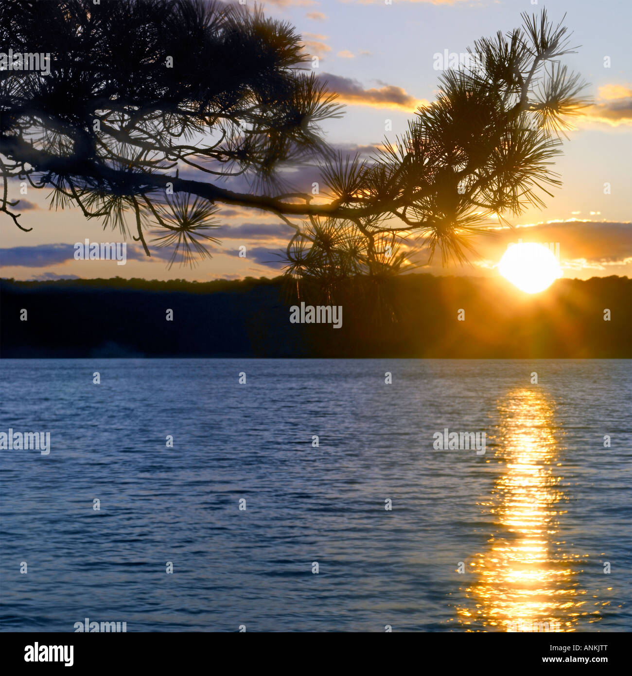 Love over gold hi-res stock photography and images - Alamy