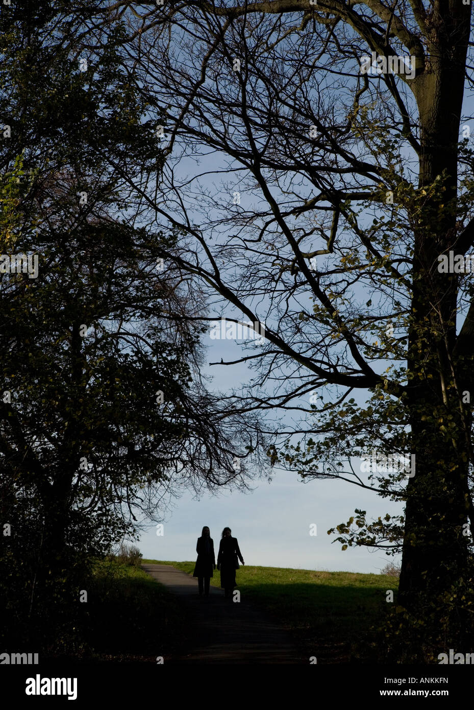 Two people walk through Hampstead Heath in London, England. Stock Photo