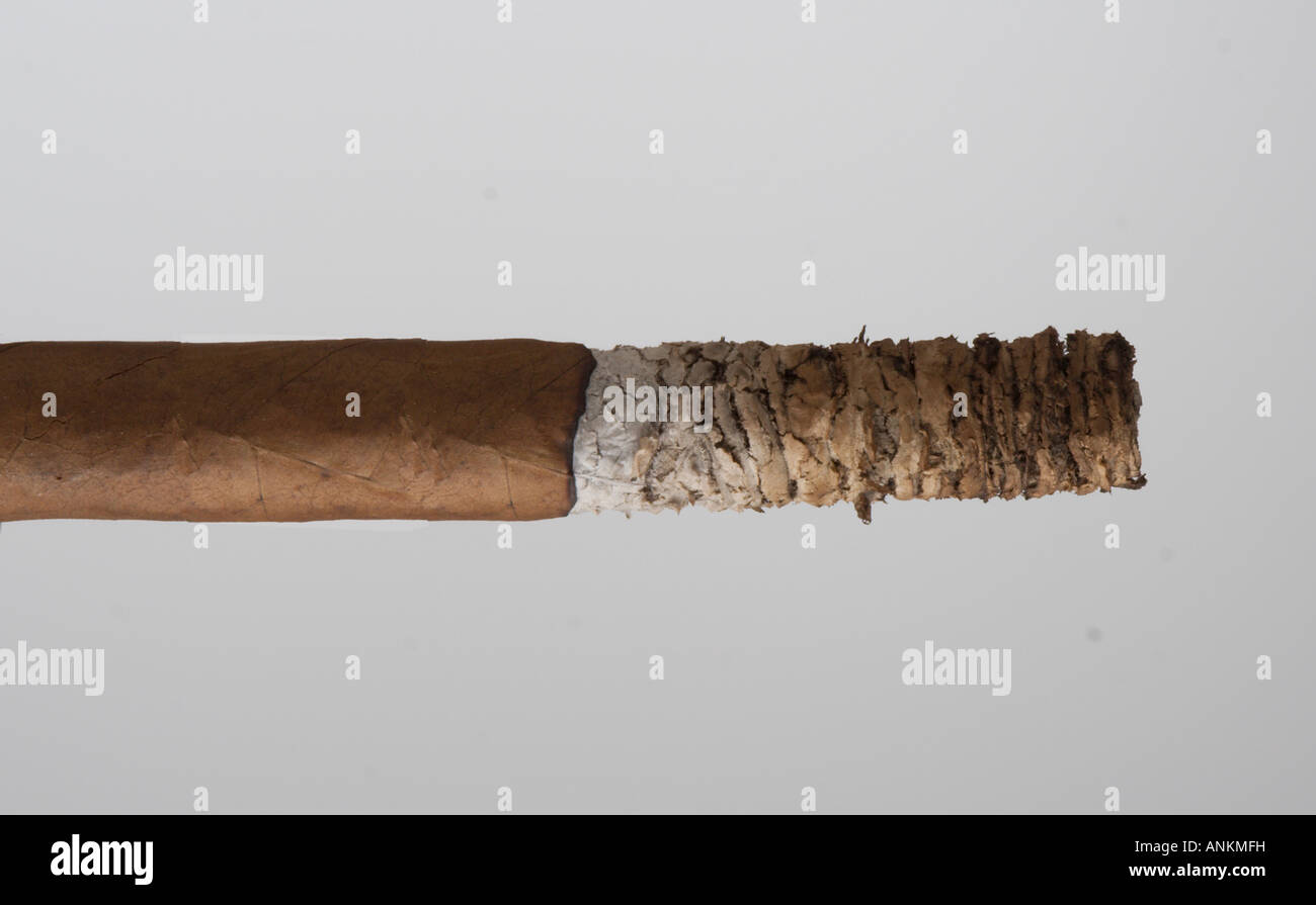 Cigar long ash Stock Photo Alamy