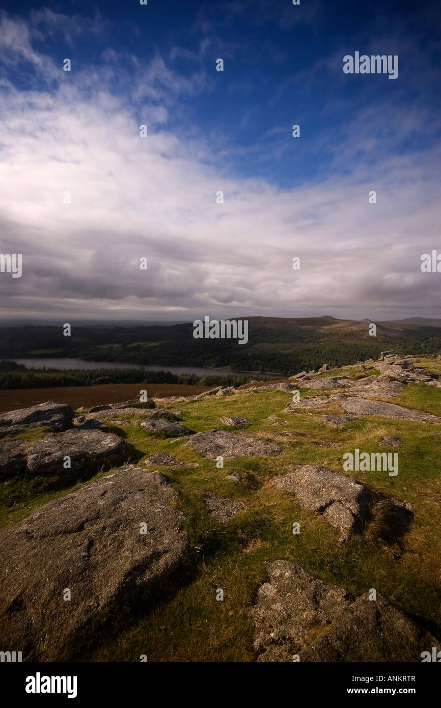 Sheeps tor Stock Photo