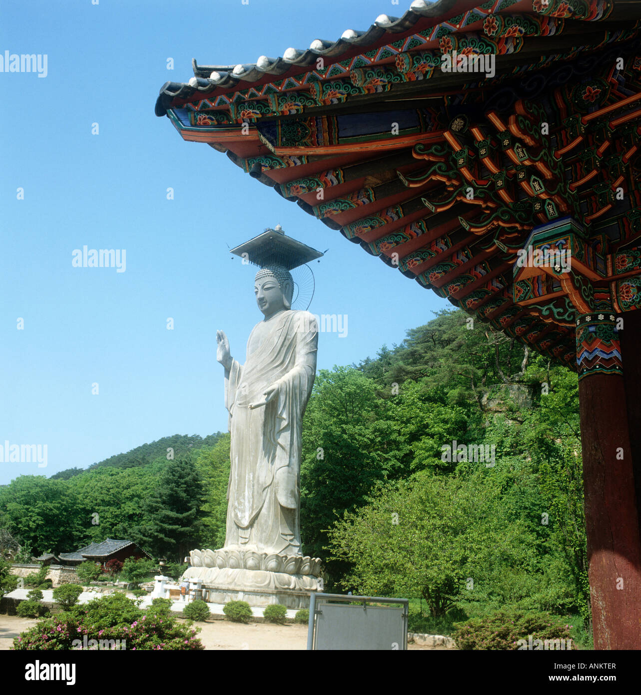 Korea.Beopjusa(Popjusa)The statue ofLordBuddha is 33 metres (just over 100') high. Original(shown here) was replaced by bronze. Stock Photo
