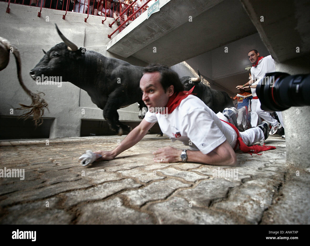 Encierro running of the bulls in San Fermin Festival Pamplona Navarra Spain Stock Photo