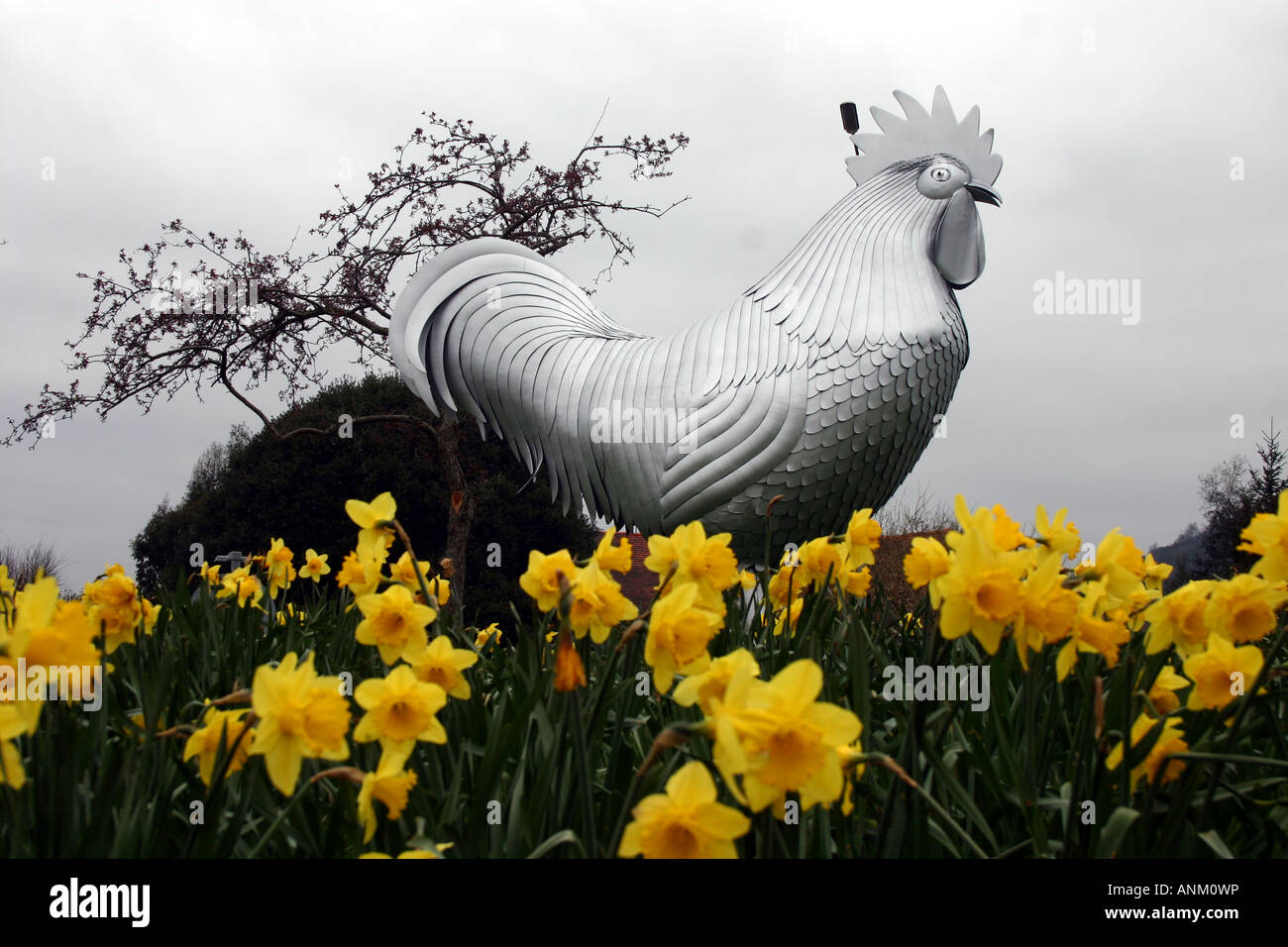 Dorking Roundabout in surrey with daffodils and hen sculpture Stock
