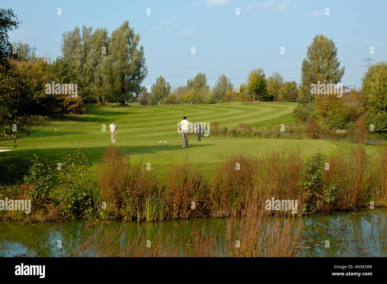 Golfers on golf course green next to water. Stock Photo