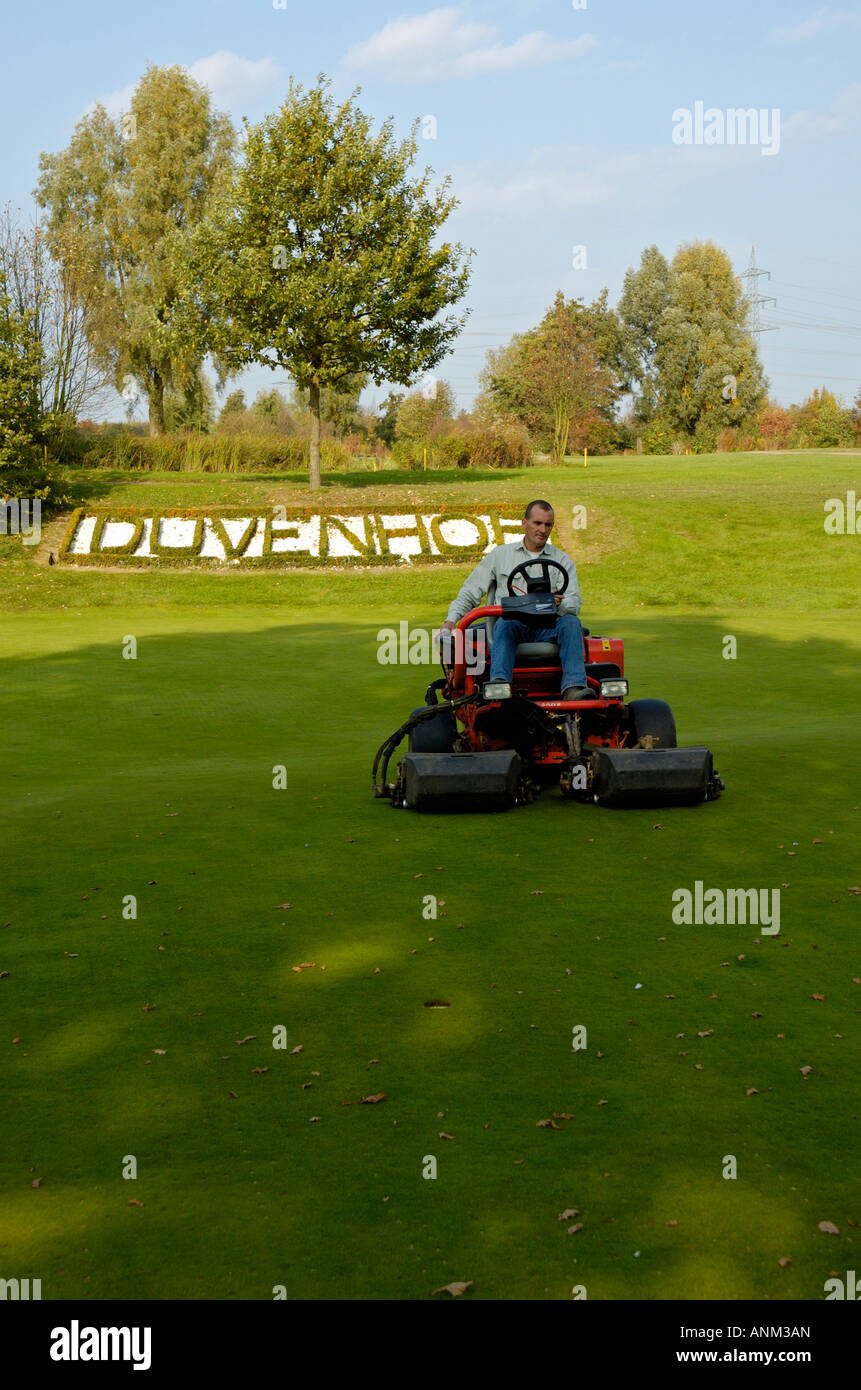 Head green-keeper driving mowing machine on golf course. Stock Photo