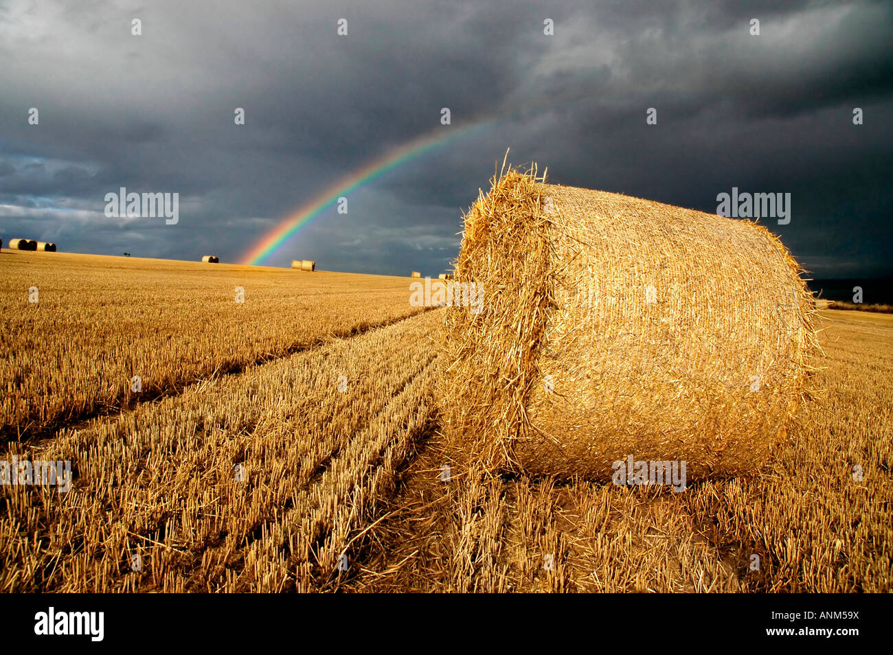 Hay bales under a stormy sky with a rainbow Stock Photo - Alamy