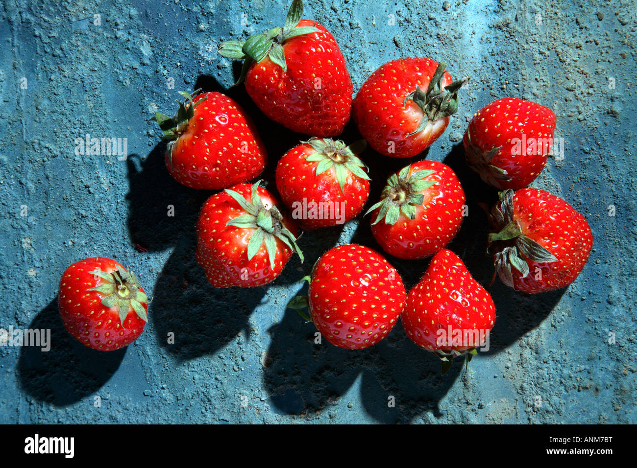 Strawberries on a rustic blue background Stock Photo - Alamy