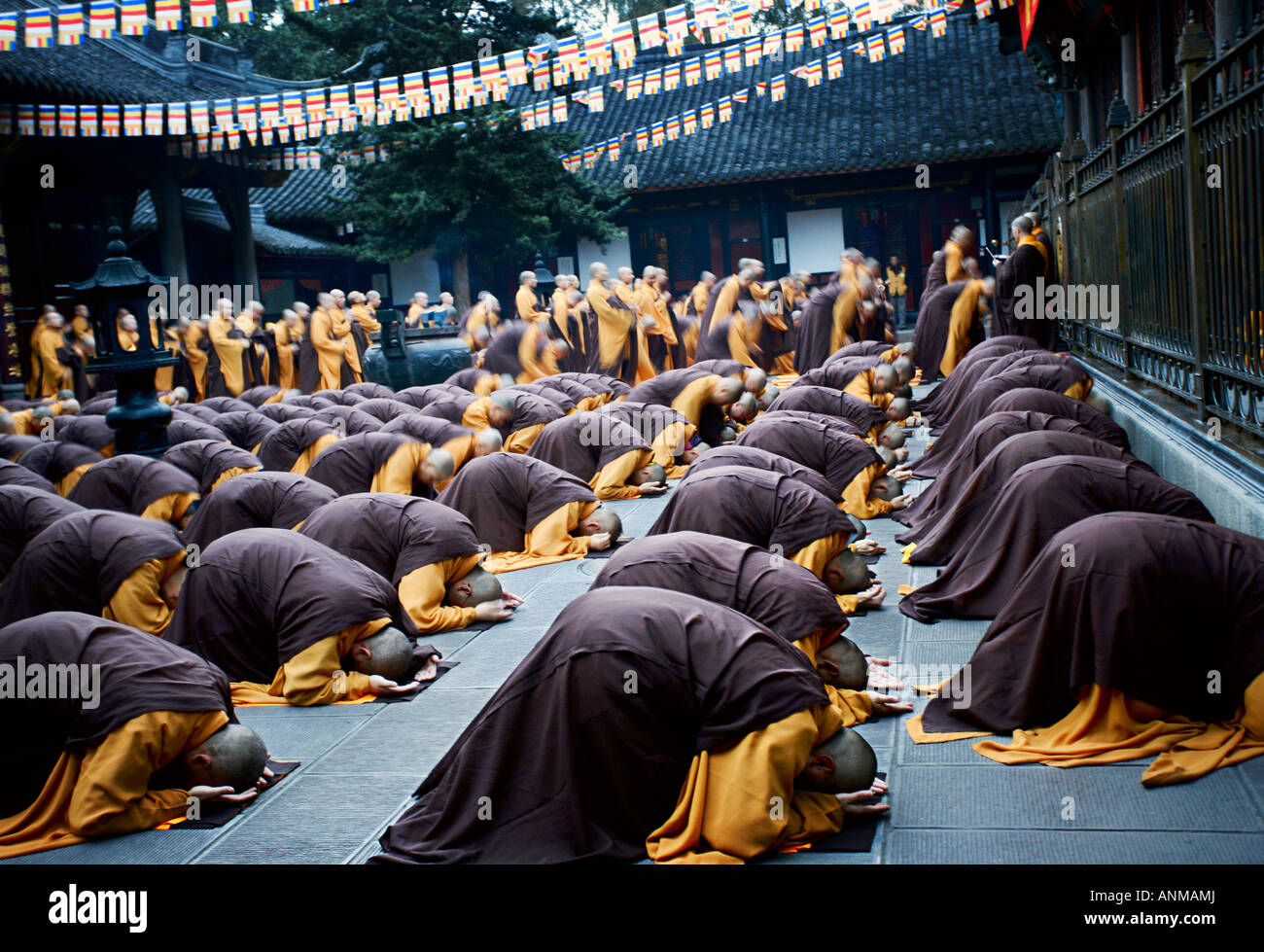 Buddhist Monks bow in prayer at the Wen Shu Monastery in ChengDu, China