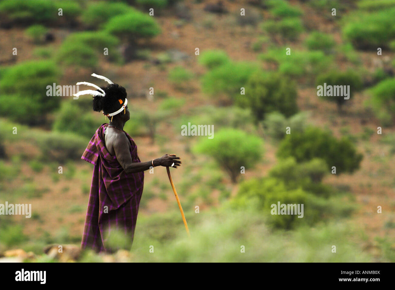 Turkana chief surveys the landscape Stock Photo