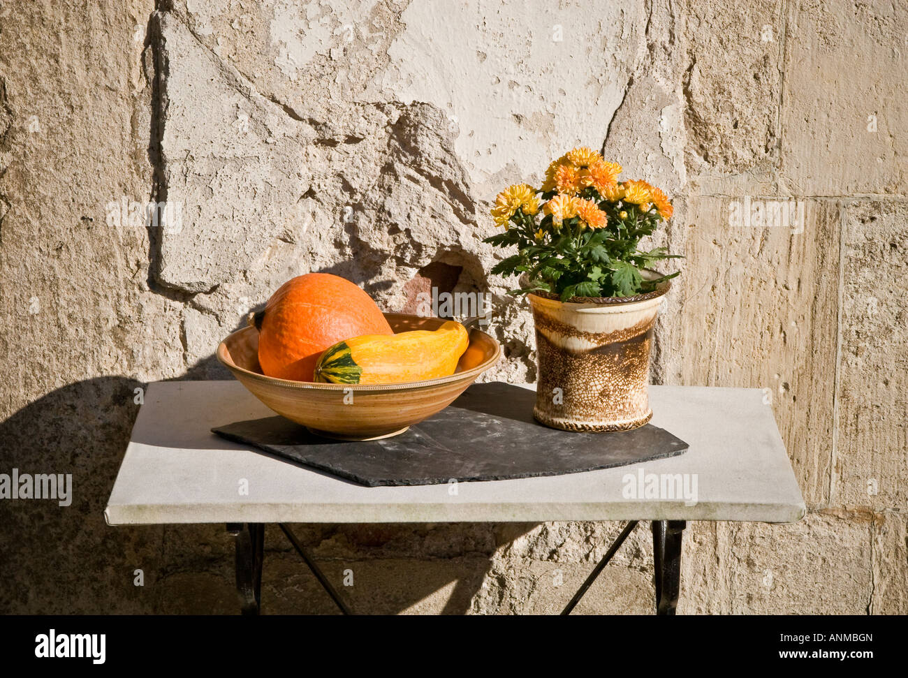 Sunlit painterly shot of squash and mums in a pot table outdoors Stock Photo