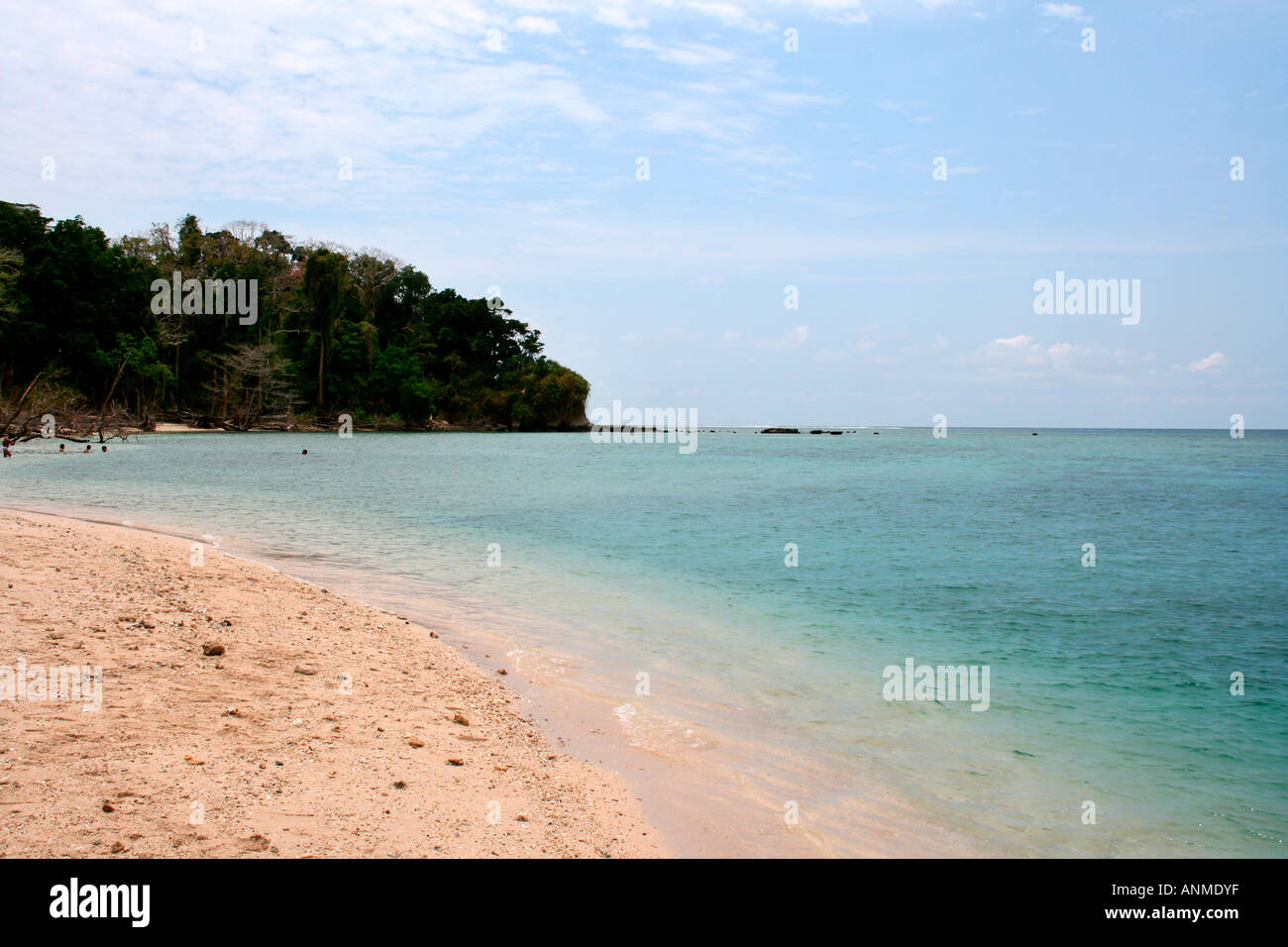 The Jolly buoy beach in Andaman with a view of the sea bordered by forests on one side Stock Photo