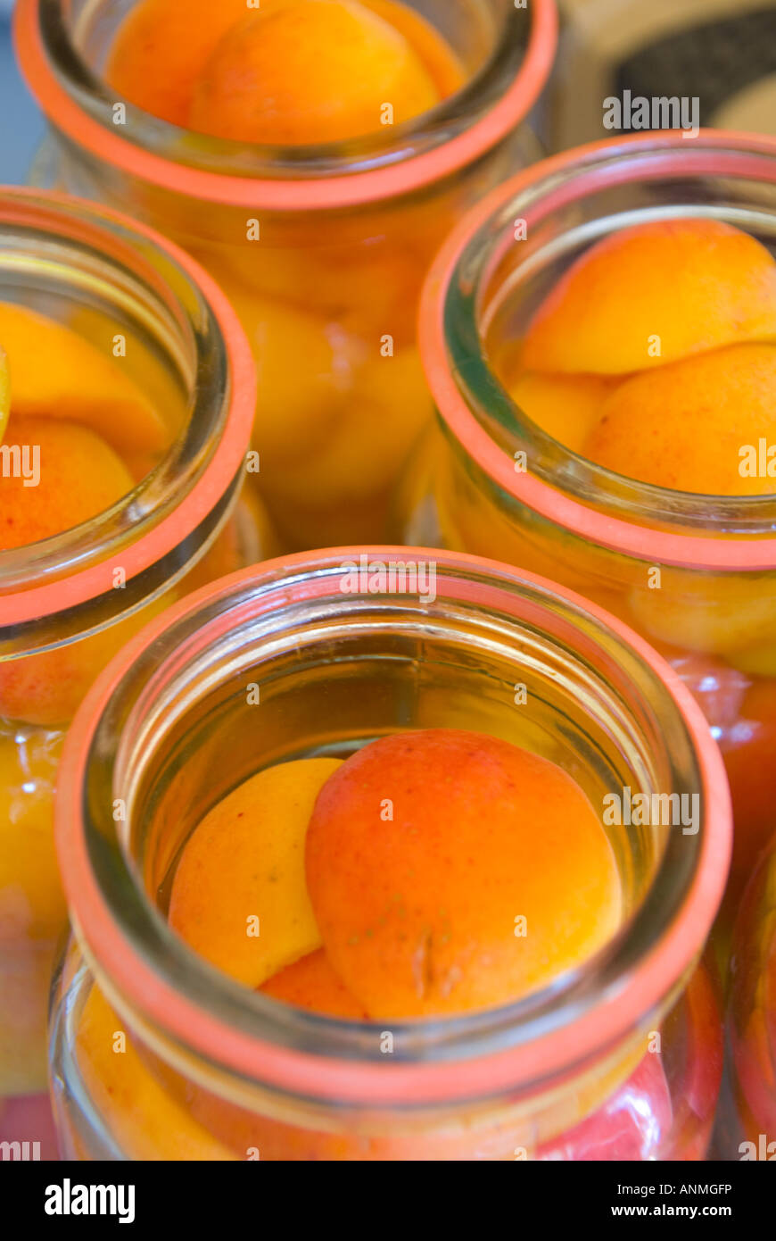 Bottled ripe apricots packed into vacuum jars to be preserved in a light sugar syrup Stock Photo