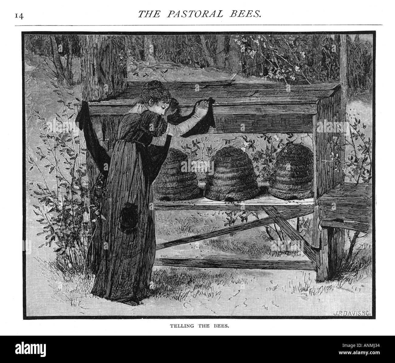 приключения пчёлки майи. Telling bee. Telling bee. Telling the bees. Bee in winter.