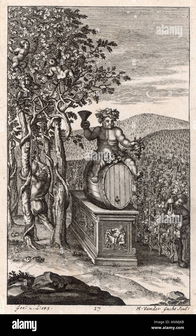 Romans Tending Wines Stock Photo Alamy