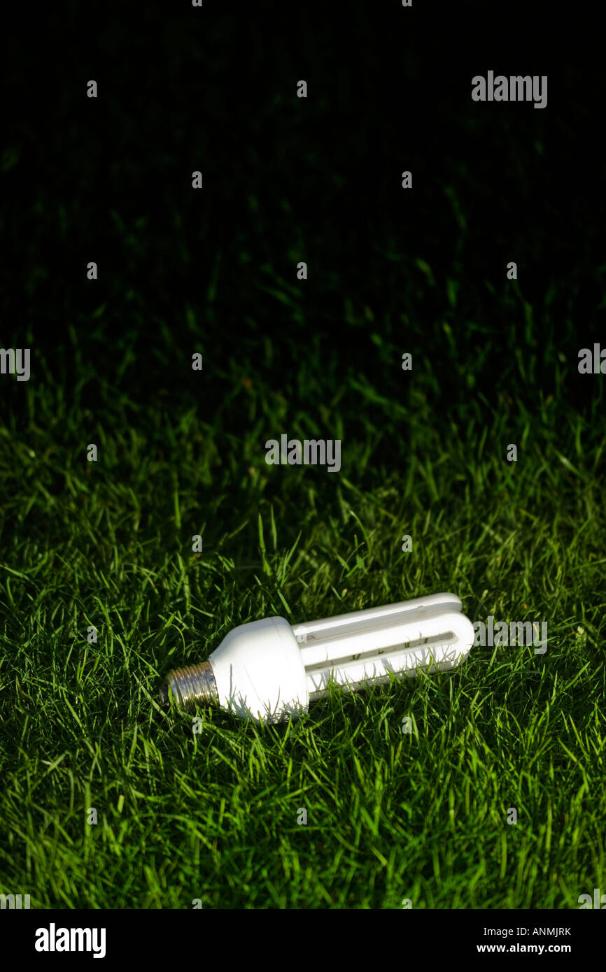 energy efficient light bulb on green grass Stock Photo - Alamy