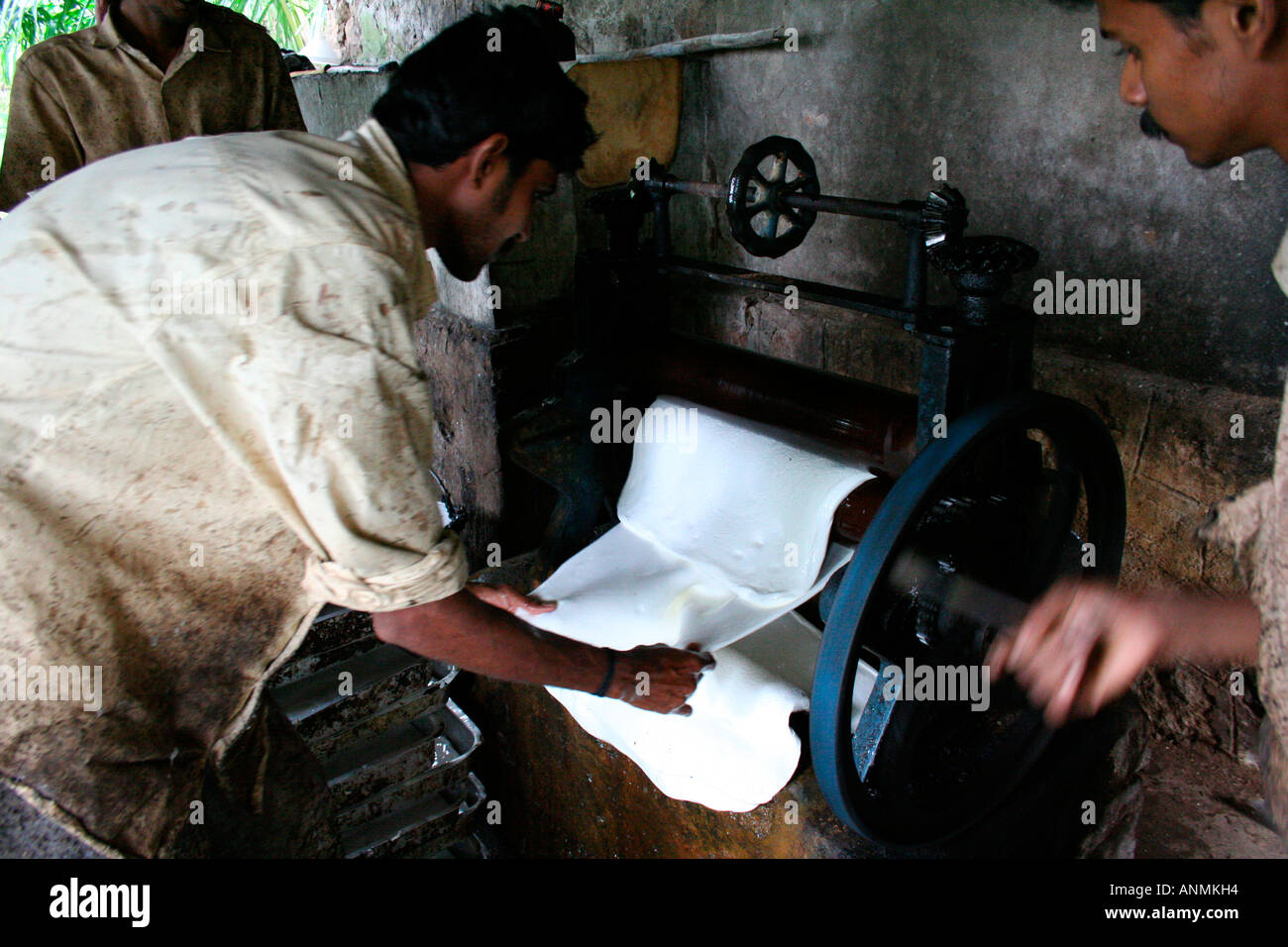 Workers engaged in the processing of rubber sheets at Nelliyampathy