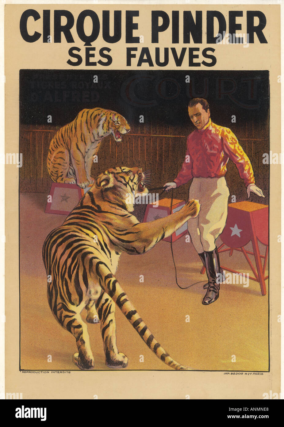 Tigers At The Circus Stock Photo Alamy