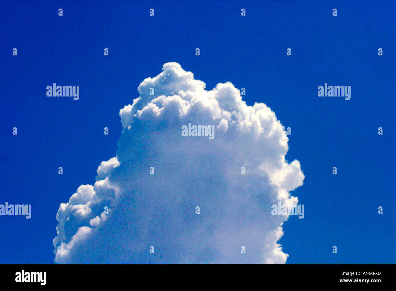 A deep blue sky with a patch of fluffy white cloud Stock Photo