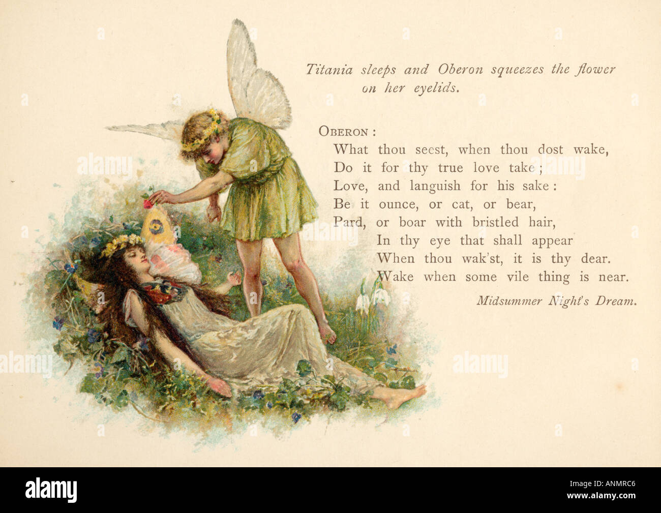 Oberon And Titania High Resolution Stock Photography And Images Alamy