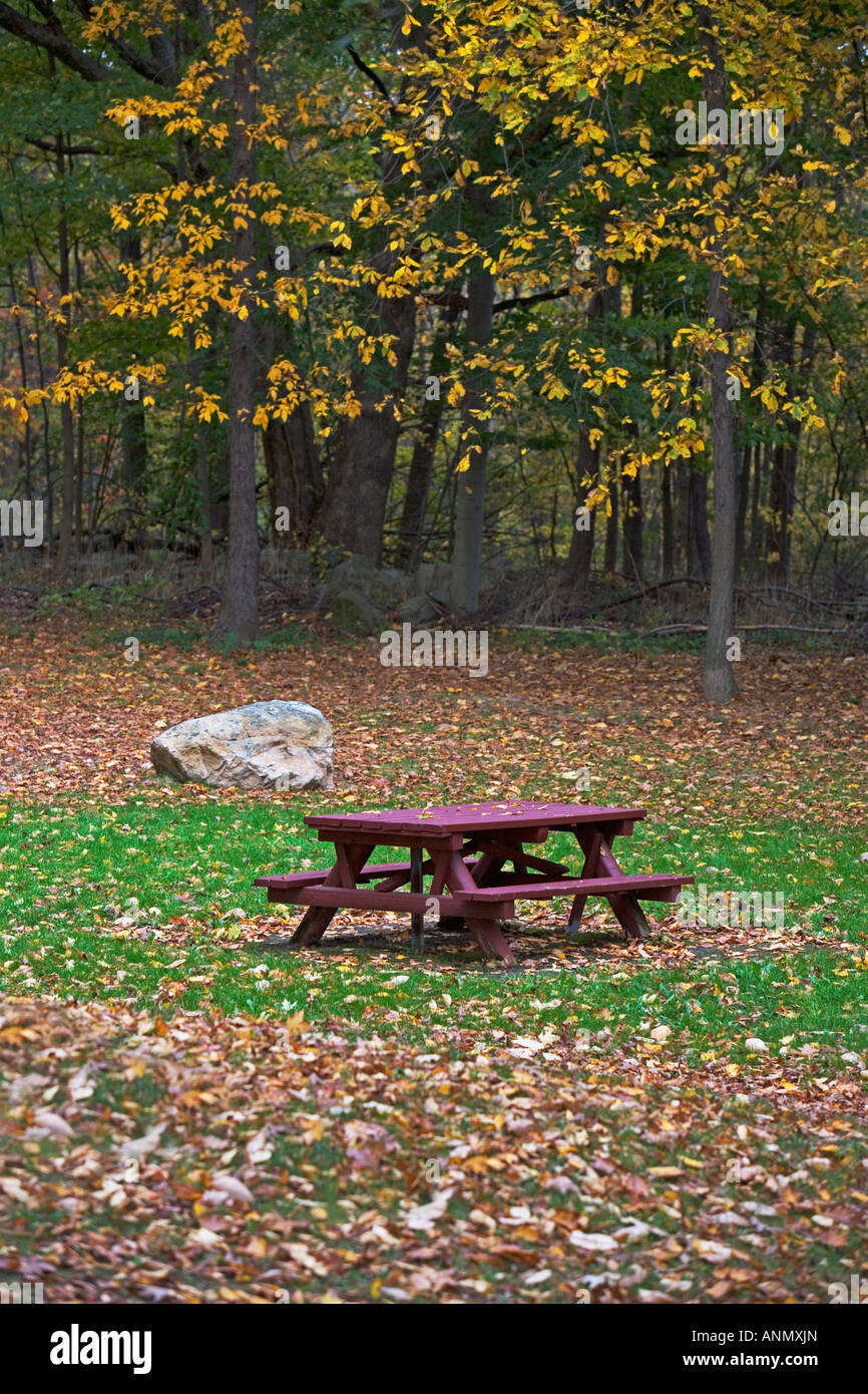 autumn scene Stock Photo