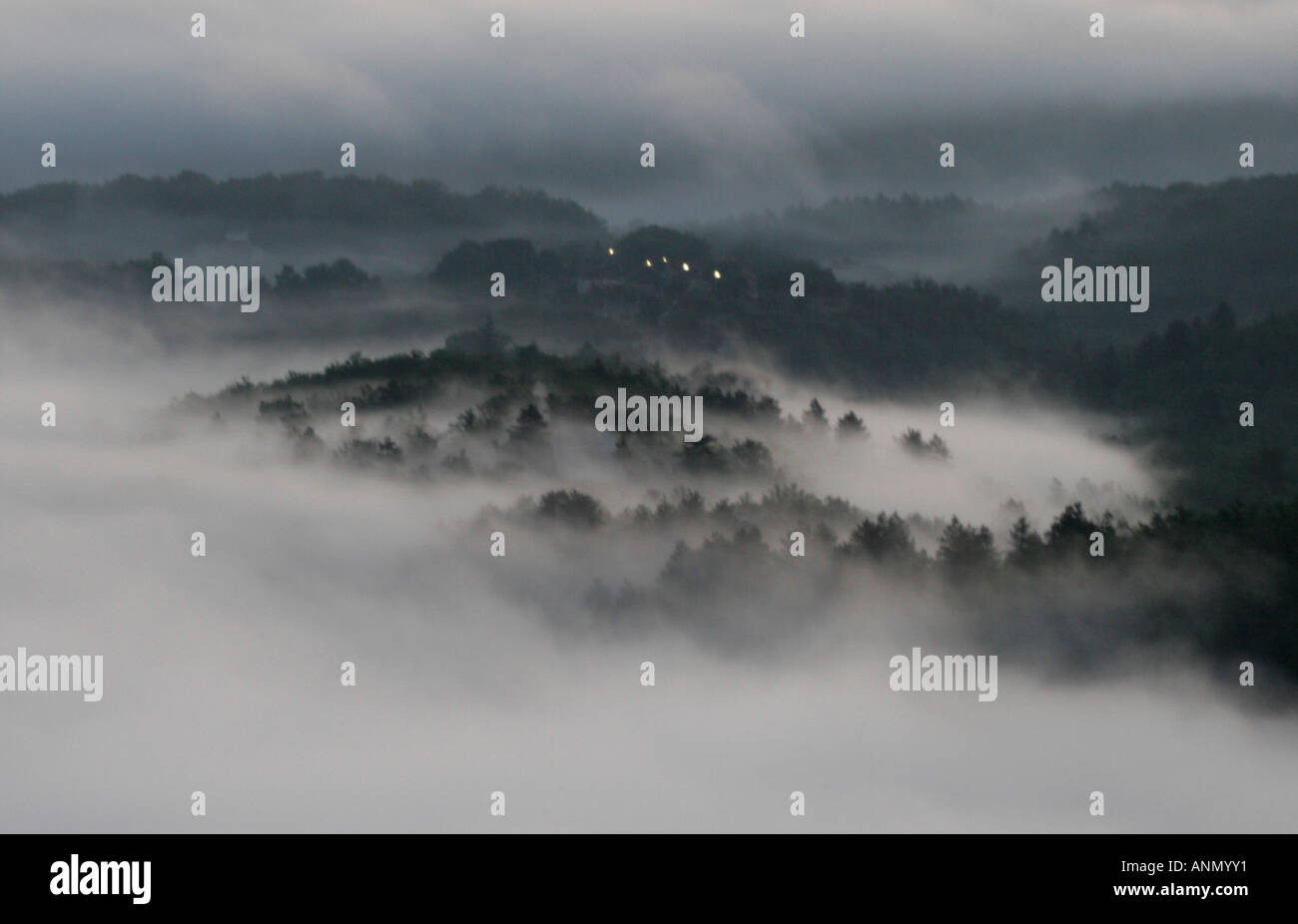 Magical, mythical eerie scenic landscape of trees in the mist Stock ...