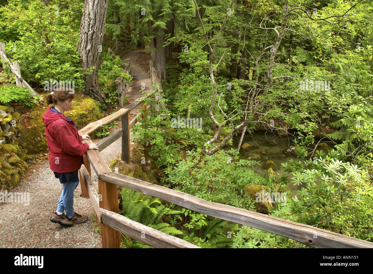 Woman in red jacket on Ladder Creek Falls Trail Newhalem Seattle City