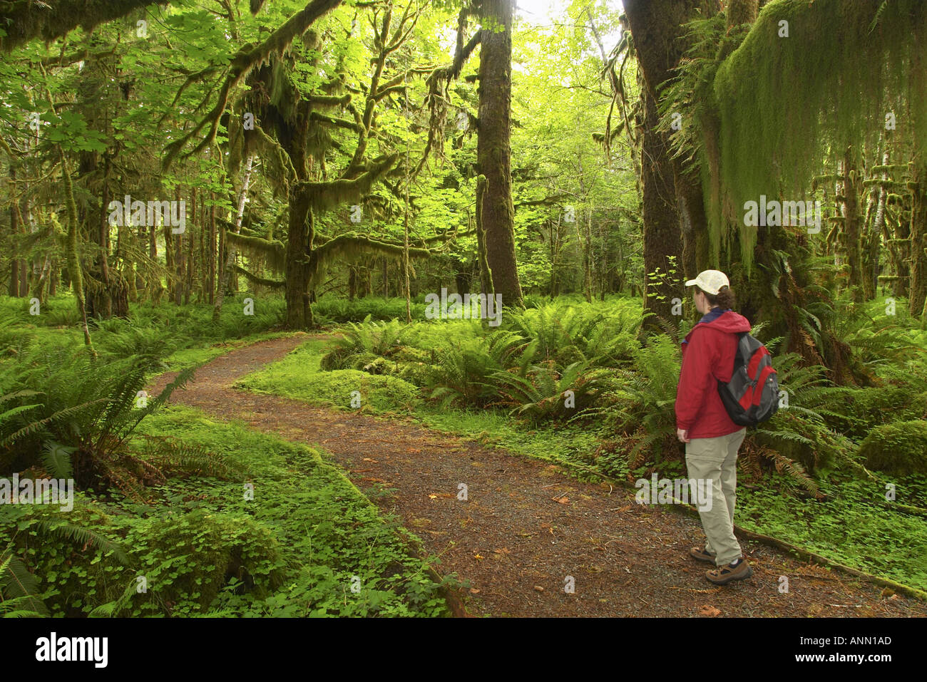 backpack brand travel Best Carry-on Travel Backpacks