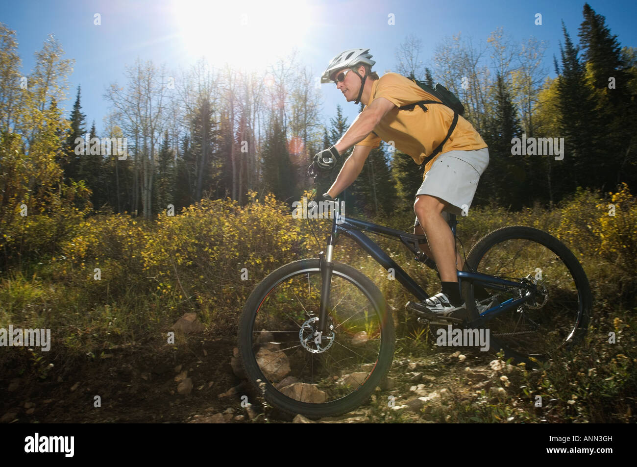 Man riding mountain bike, Utah, United States Stock Photo Alamy