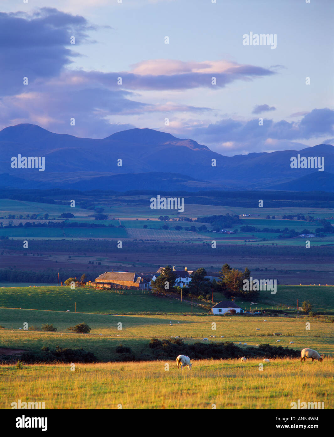 View across Flanders Moss from near Kippen and Arnprior, Stirling, Scotland, UK Stock Photo