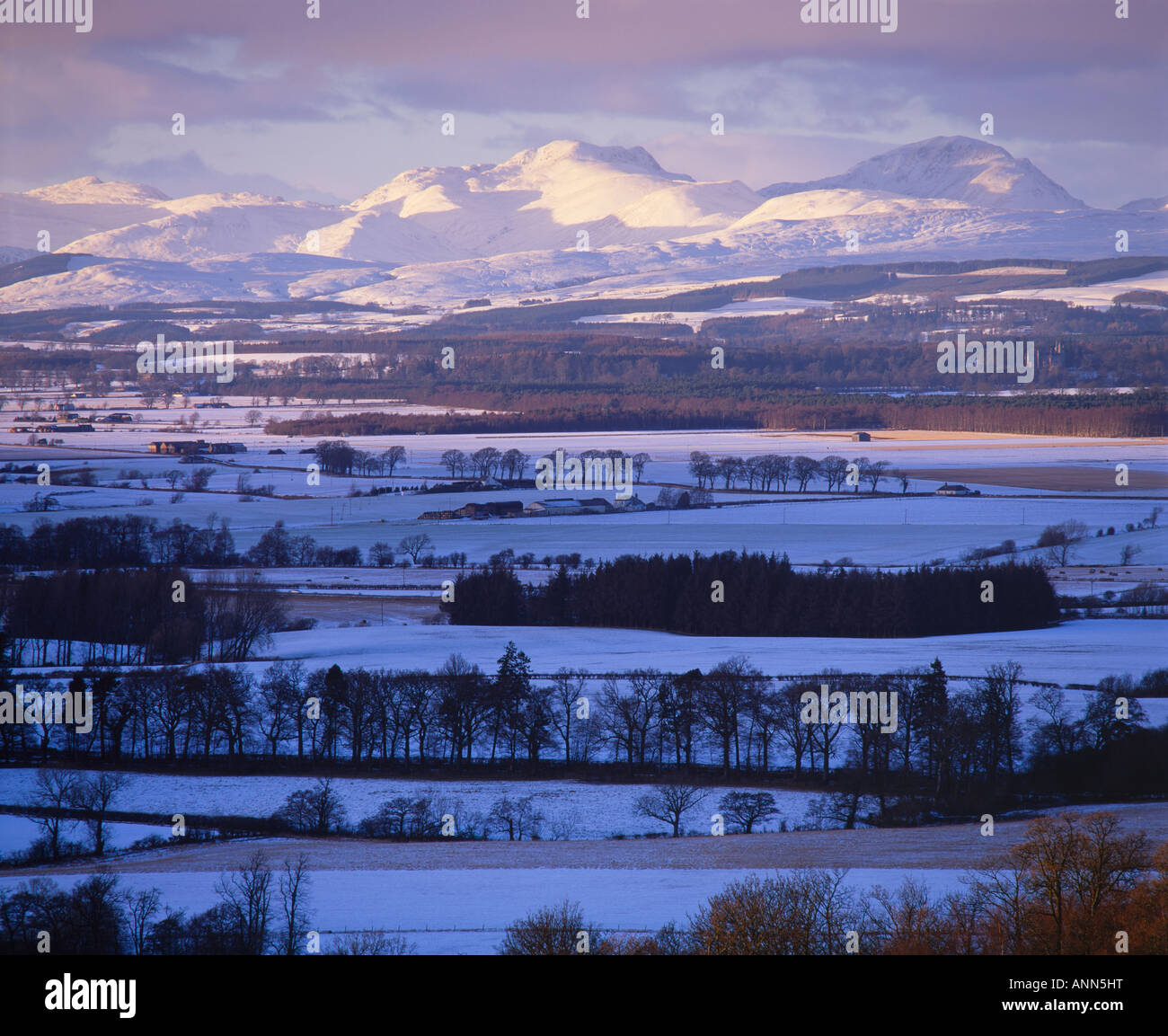 From cambusbarron hires stock photography and images Alamy