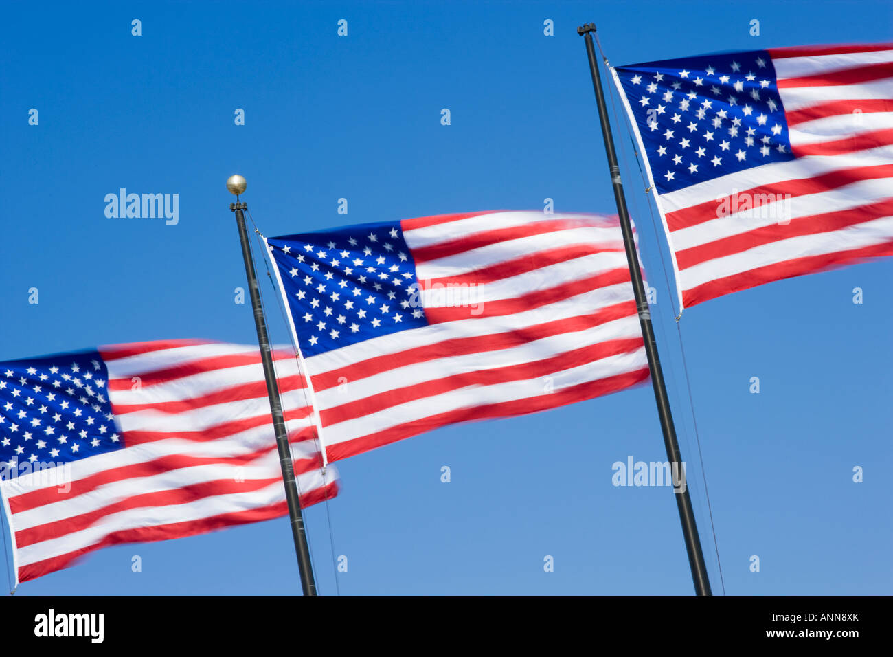 us flag stars and stripes Stock Photo Alamy