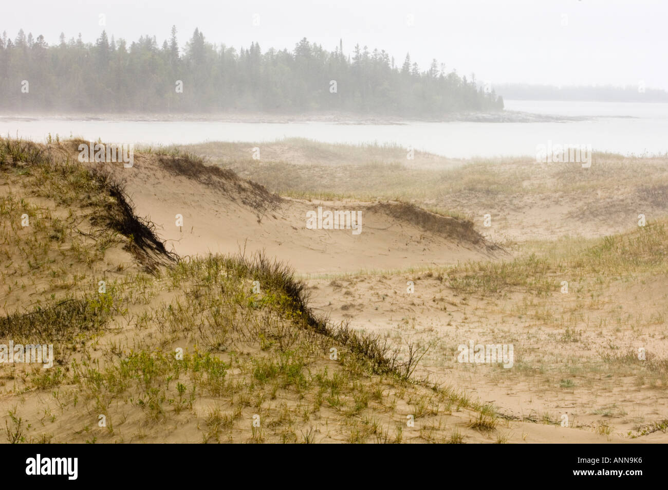Sand dunes in rain and fog at Carter Bay, Tehkummah Township