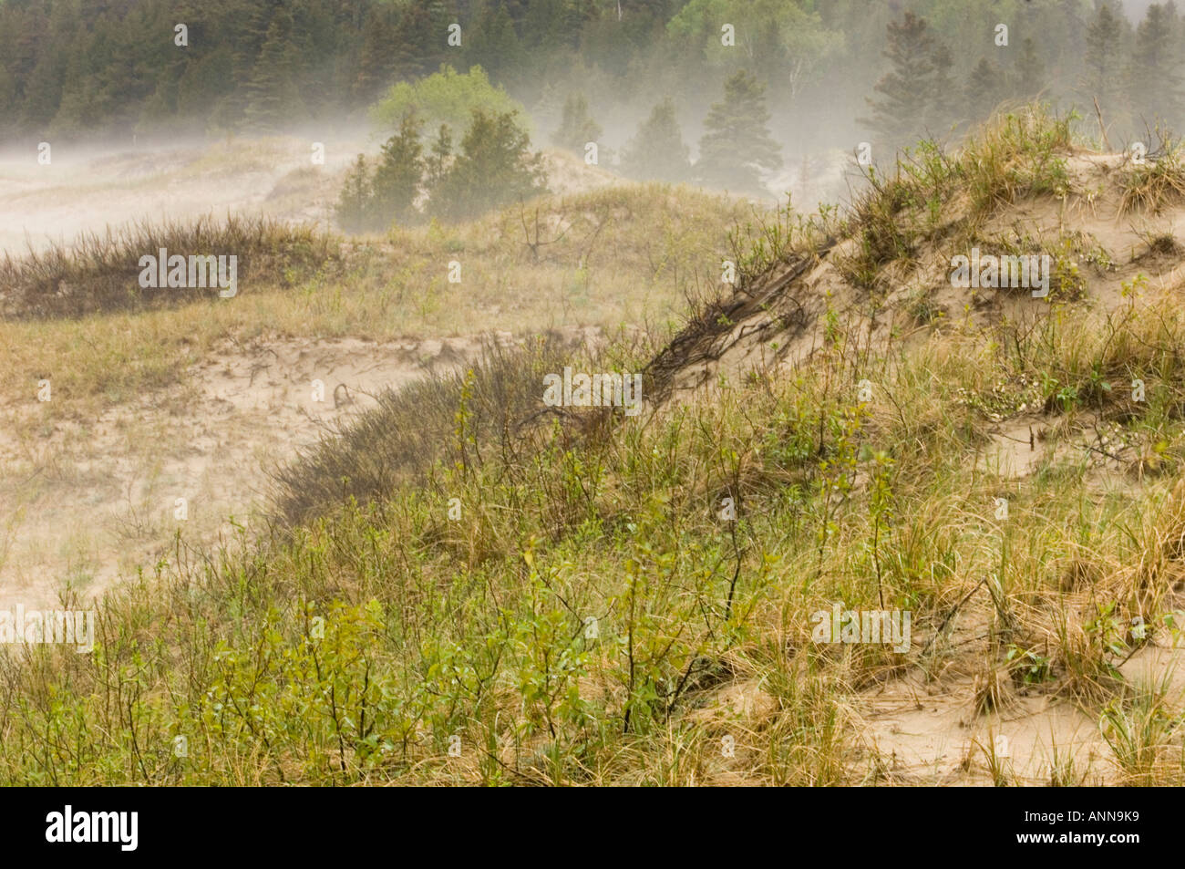 Sand dunes in rain and fog at Carter Bay, Tehkummah Township
