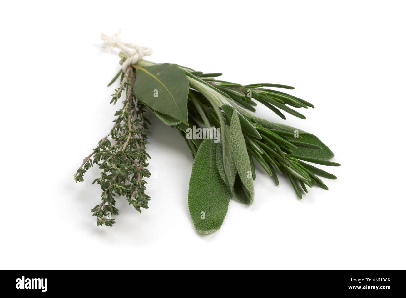 Bouquet Garni of fresh herbs Rosemary Thyme Sage and Bay Leaves Stock