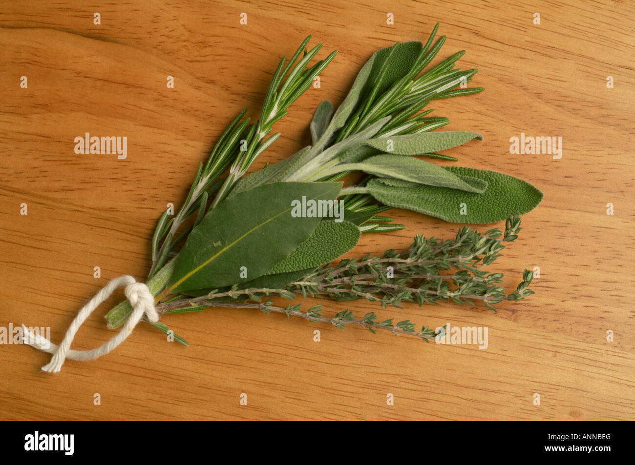Bouquet Garni of fresh herbs Rosemary Thyme Sage and Bay Leaves Stock