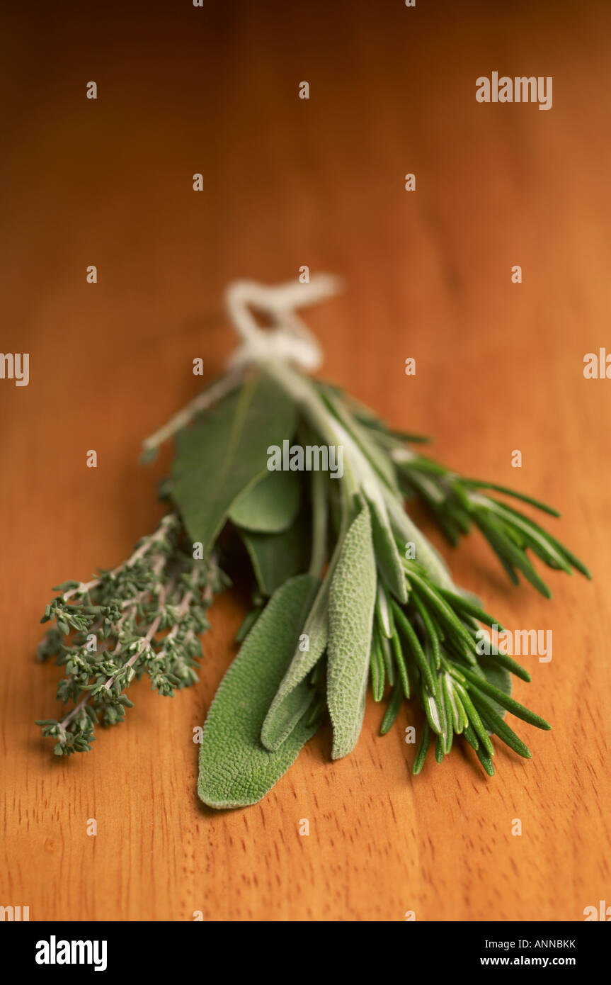 Bouquet Garni of fresh herbs Rosemary Thyme Sage and Bay Leaves Stock