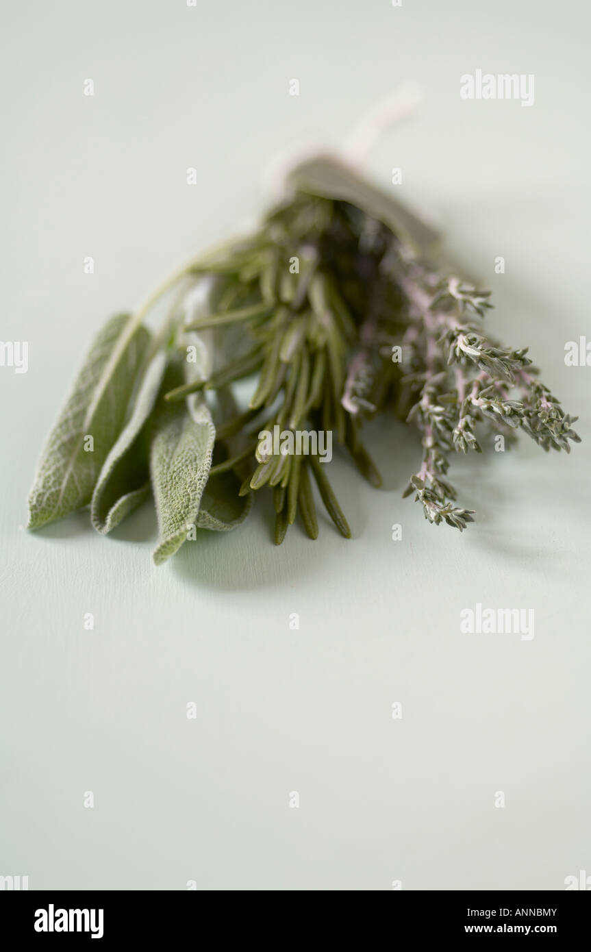 Bouquet Garni of fresh herbs Rosemary Thyme Sage and Bay Leaves Stock