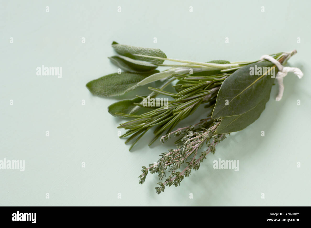 Thyme leaf hires stock photography and images Alamy