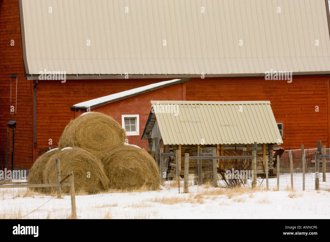 Red barn and wooden graineries, Wildwood, Alberta, Canada Stock Photo
