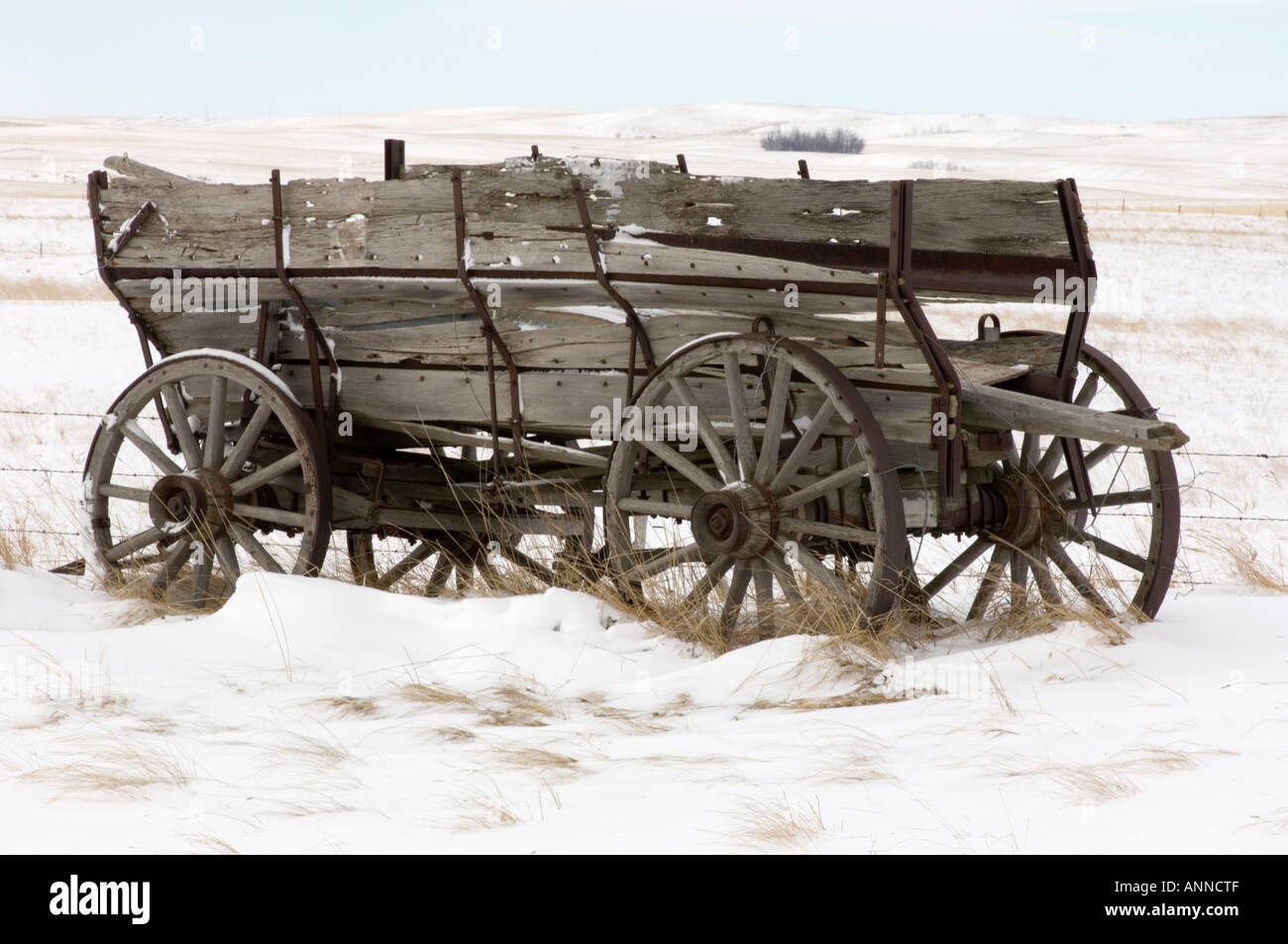 Hussar alberta hires stock photography and images Alamy