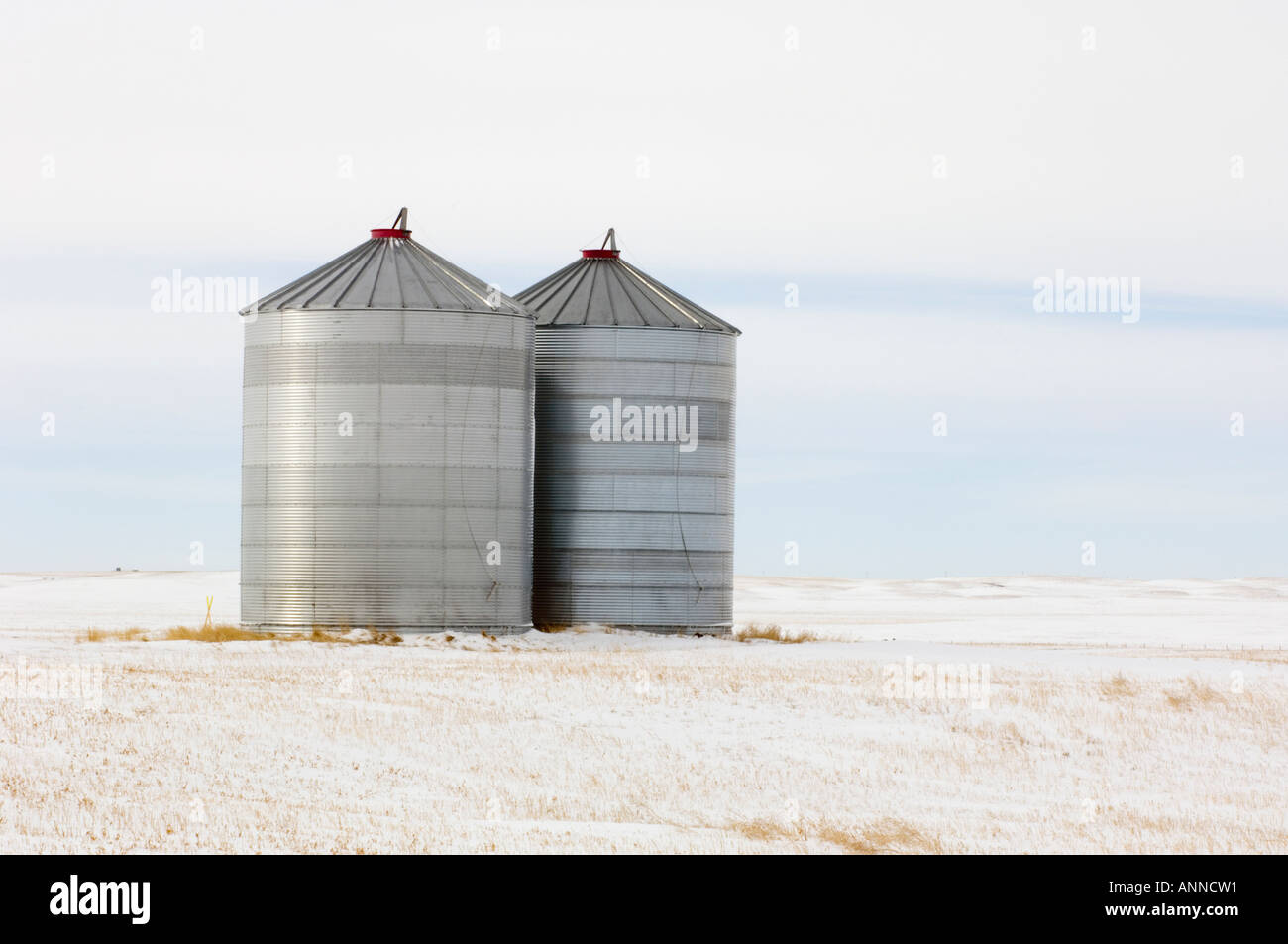 Hussar Alberta High Resolution Stock Photography and Images Alamy