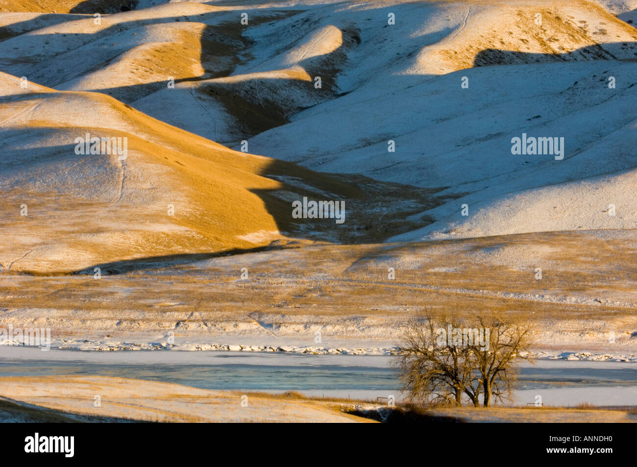 Oldman River Valley with fresh snow, Picture Butte, Alberta, Canada