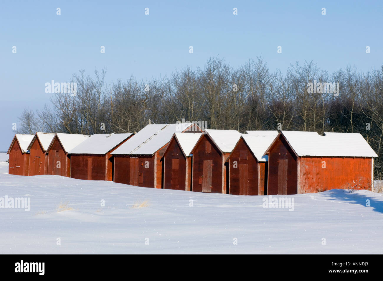 Wooden grain storage buildings, Whitewood, Saskatchewan, Canada Stock Photo