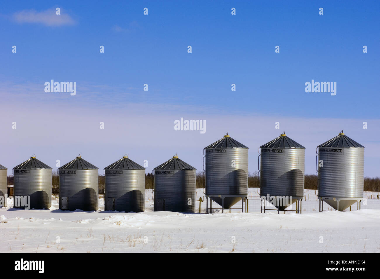 Graineries and high throughput elevator, Waldron, Saskatchewan, Canada Stock Photo