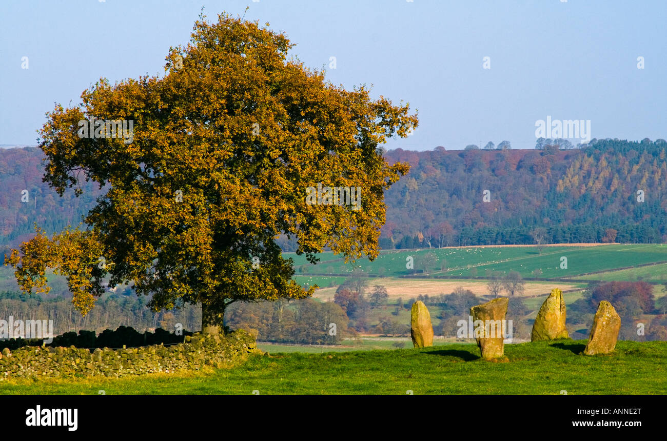 Bronze age stone circle and tree on Harthill Moor near Birchover in the Peak District National Park Derbyshire England UK Stock Photo